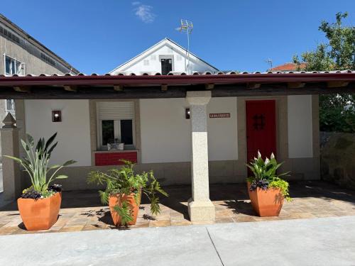 Padron House | Primavera