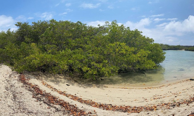 Bahia de la Academia House | Private home and beach access in Galapagos