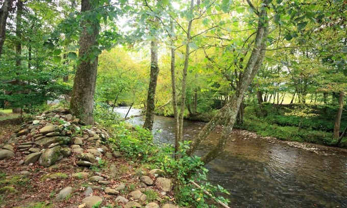 Cosby House | PRIVATE LOG CABIN - TROUT STREAM - 7 MIN TO GREAT SMOKY MOUNTAINS NATIONAL PARK!