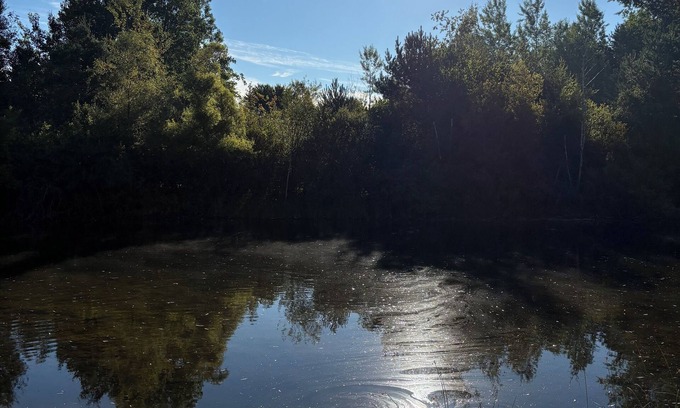 Marion House | Private pond where memories are made!