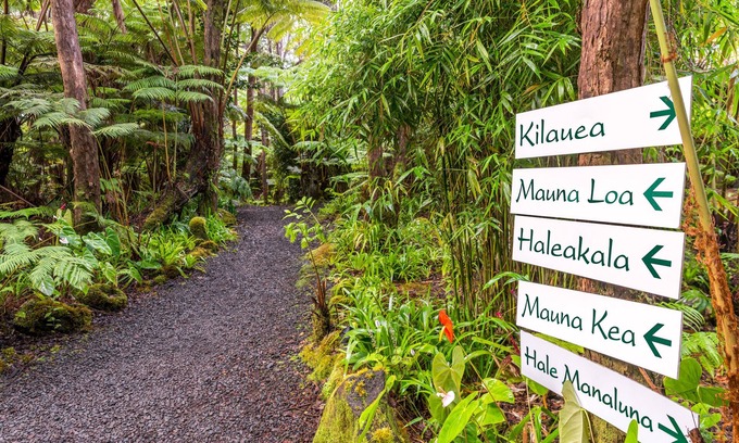 Volcano Bed & Breakfast | Private Rainforest Retreat in Volcano Village