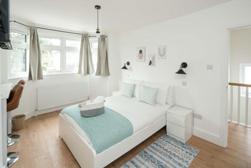 Ashburton House | Private room in Modern and Stylish House