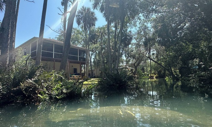 Brooksville House | Private Spring Swimming & Serenity