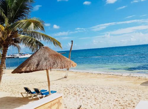 Puerto Juarez Apartment | Punta me Apartment beach front in the hotel & Waterpark