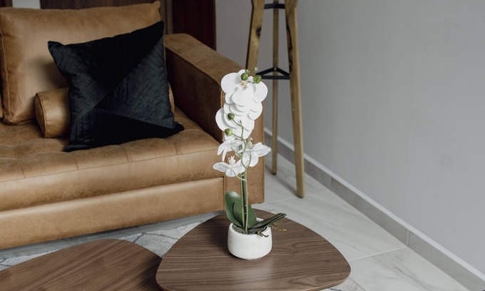 Coyoacan Apartment | Punto Lofts Periférico Sur