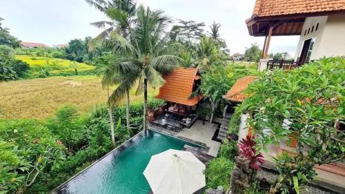 Mas House | Pupel House