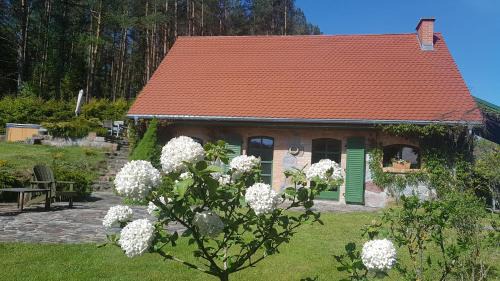 Bytow Villa | Pustki Rekowskie - Zielone Serce Kaszub