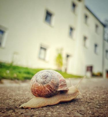 Berggieshubel Apartment | Quartier - alte Steigerbaude