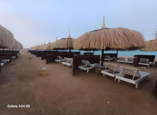 Al Ahyaa Resort | Queen T Suites All Inclusive Resort