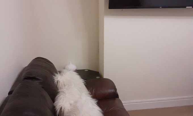 Wolverhampton House | Quiet double rooms available in leafy suburb of nNewbridge (West Wolverhampton).