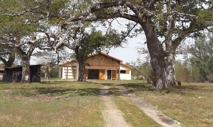 Saint-Paul-en-Born House | Quiet house between forest, lake and ocean
