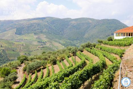Bomfim House | Quinta do Monte Bravo - DOURO - Quarto Duplo