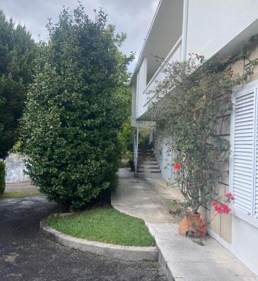 Sever do Vouga House | Quinta do Vale Vaqueiro
