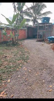 Itacare Ski Chalet | Raízes kit net