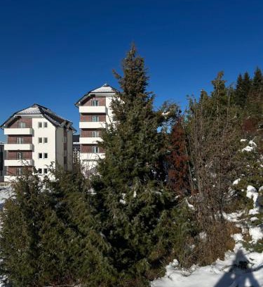 Lisina Apartment | Ramondia, Kopaonik