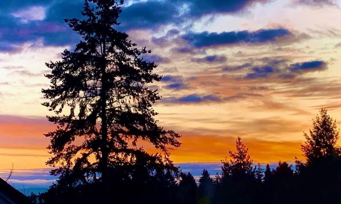 Beaverton Apartment | RARE FIND! Nature Retreat style Haven Near Portland Bordering Nature Reserve