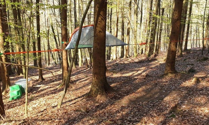Solling Apartment | Red fir tree tent - Baumhaushotel Solling