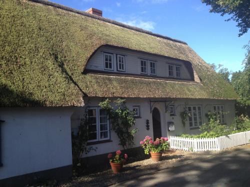 Nieblum Apartment | Reetstübchen
