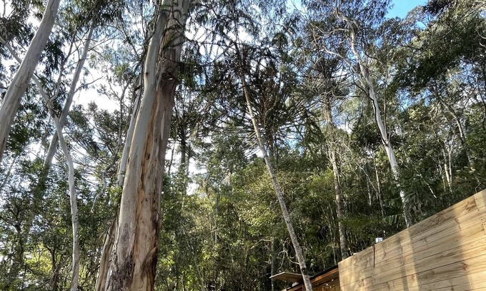 Urubici Cabin | Refúgio da Neblina