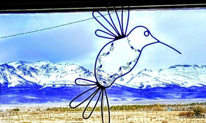 Tricao Malal House | Refugio de la patagonia