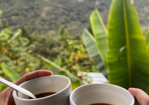 Santa Teresa Bed & Breakfast | Refugio de Mery Lucmabamba