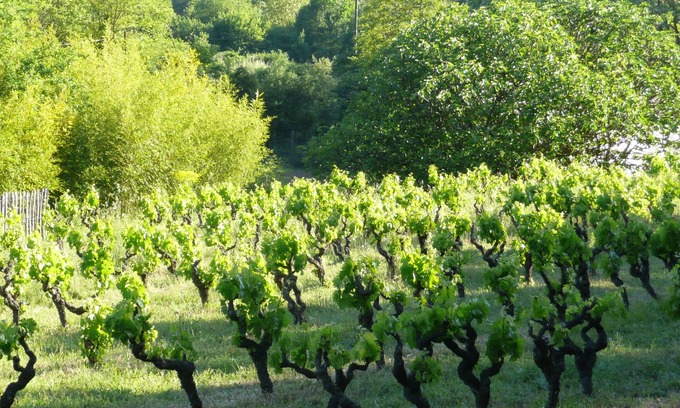 Saint-Antonin-du-Var House | Rent up to 6 people ds old farmhouse restored, full nature provencal