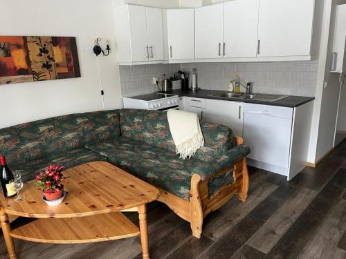 Vang Apartment | Rett ved Raudalen Alpinanlegg