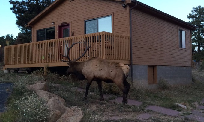 Estes Park Cabin | River Cabin - Close to Downtown, YMCA, and R.M.N.P.