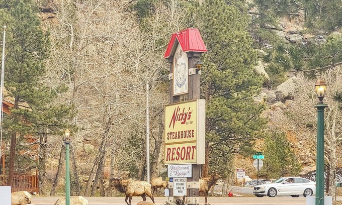 Estes Park Hotel | Riverfront Pool Motel, Views R206