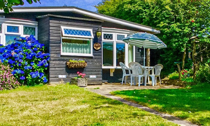 Bideford Cottage | Robin's Nest Bungalow - UK39619