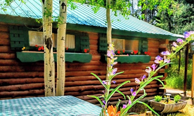 Chaffee County Cabin | Rocky Mountain Cabins of Buena Vista