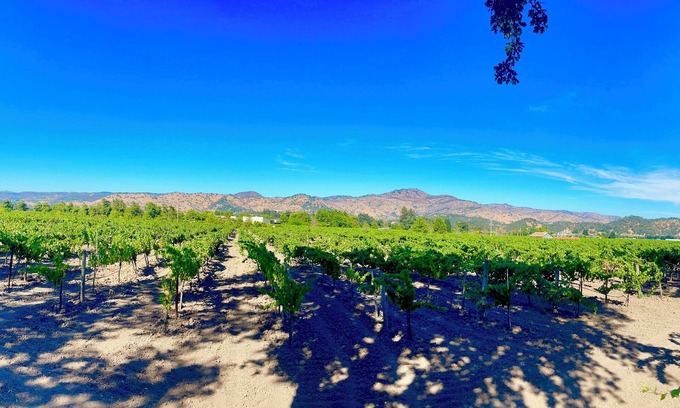 Yountville House | Romantic Luxury 3-BR Modern Farmhouse with EVERYTHING. In Charming Yountville