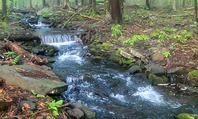 Pocono Lake Ski Chalet | Romantic Pocono Lake Chalet: Firepit, Stream, near Lake, pools & Pet-Friendly