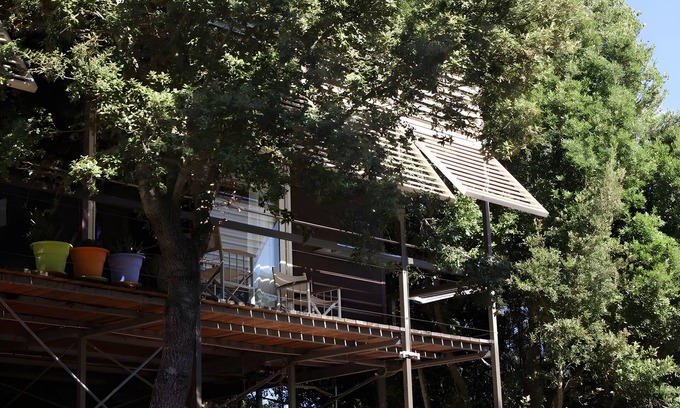 Aglientu Apartment | Room 'Jane Tarzan' with Shared Pool, Private Terrace and Air Conditioning