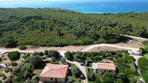 Alghero Apartment | Rosanna House in Bombarde Beach