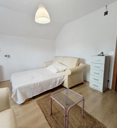Veternik Apartment | Rose