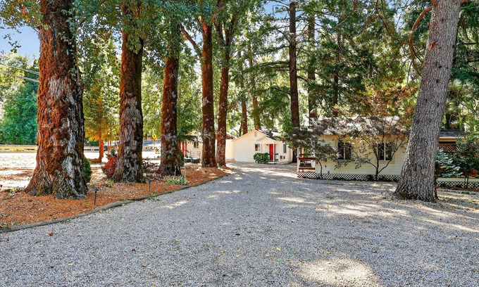 Cobb Apartment | Rouge Cobb Mountain Hotel - Cabin 1