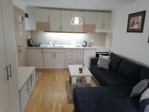 Vrnjacka Banja Apartment | Royal 019