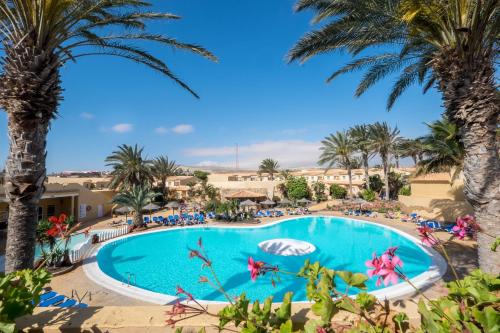 Bahia Calma Hotel | Royal Suite
