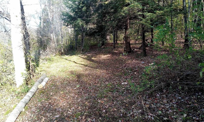 Cherry Valley RV Rental | Rustic Secluded Peaceful Getaway in Cherry Valley