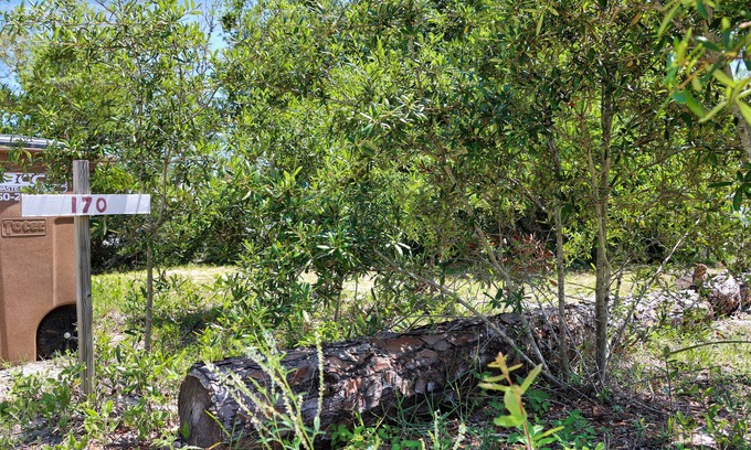 Indian Pass RV Rental | RV Lot, Indian Pass, Close To The Beach ~ Maxtoria