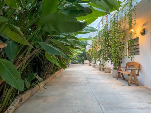 Chichen Itza - Valladolid Apartment | Sac Ek Hotel