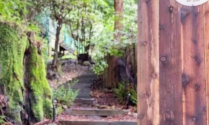 Guerneville House | Sacred Redwood Chalet 30 day+Vaca/Furnished Rental