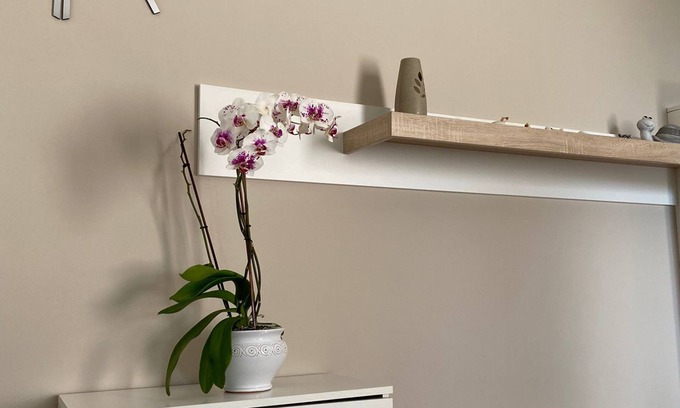 Specchia Apartment | Salento holiday home