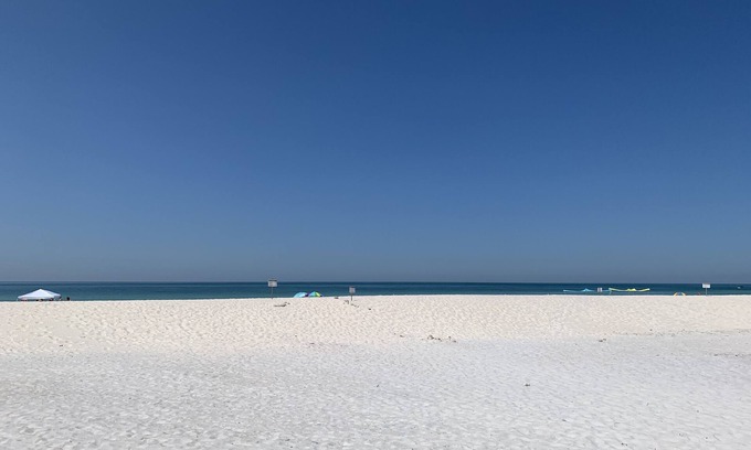 Indian Shores Condo | Sand Castle III # 203 DIRECT GULF FRONT Condo Private Staircase to Pool & MORE