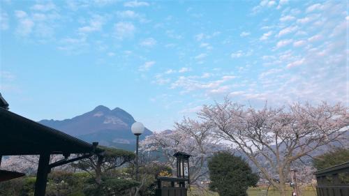 Yufuin Onsen Hotel | Sanso Tanaka