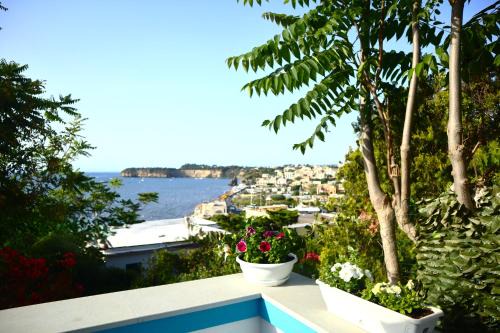 Procida House | Santa Margherita Suite - CHIAIOLELLA