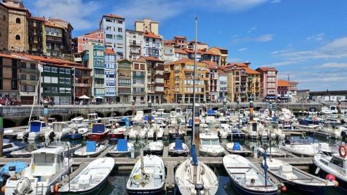 Bermeo Apartment | Sare Enea
