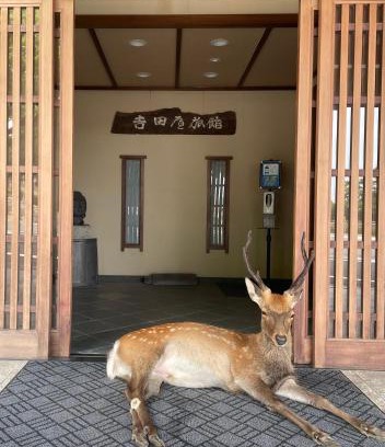 Nara Hotel | Sarusawaike Yoshidaya