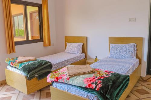 Rishikesh House | Satya Yoga Ashram Rishikesh